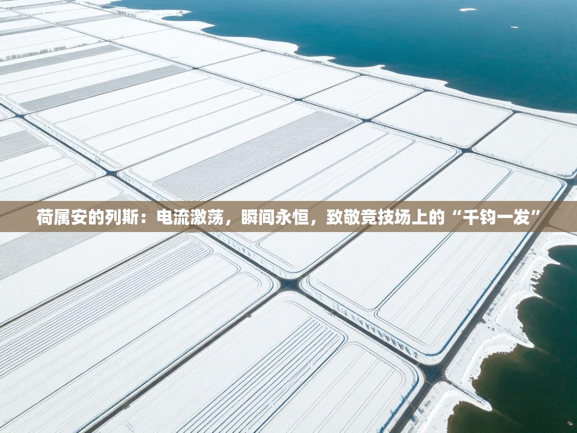 荷属安的列斯：电流激荡，瞬间永恒，致敬竞技场上的“千钧一发”  第2张